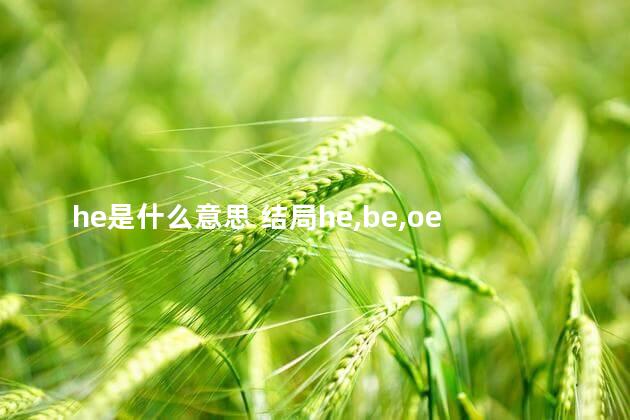 he是什么意思 结局he,be,oe啥意思